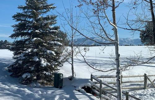 The “Worst” Home, Best Stay In Pagosa Springs - Foto 7