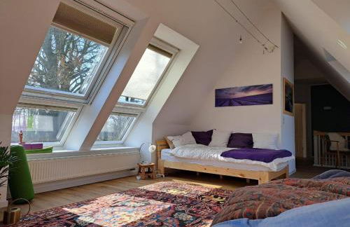 Ferienwohnung Rotbuche - Foto 16