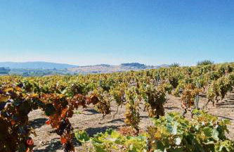 Casa Do Cruzeiro Apartment - Foto 35