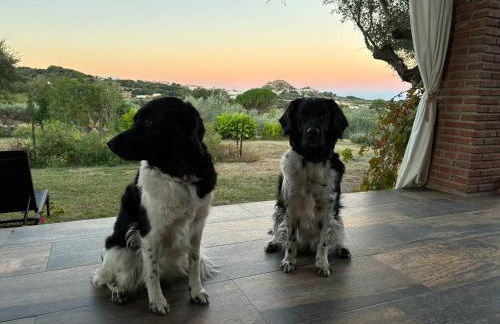 Casa Rural La Recuera - Foto 32