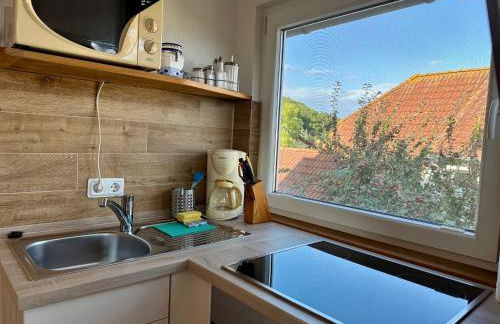 Ferienanlage in Klein Zicker Ferienwohnung 1 - Seeseite - Foto 11