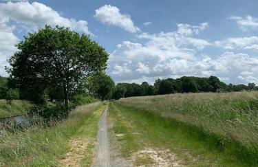 Ferienwohnung in idyllischer Lage - Foto 7