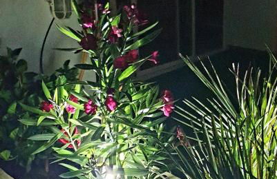 Appartement Super Terrasse Vue Panoramique Mer - Foto 28