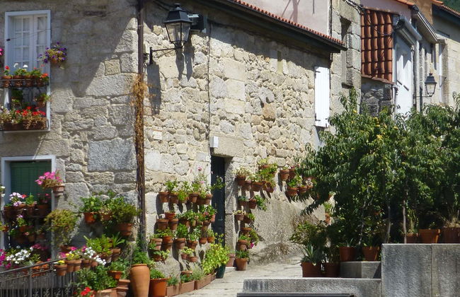 Visita guiada por Ribadavia - Foto 2