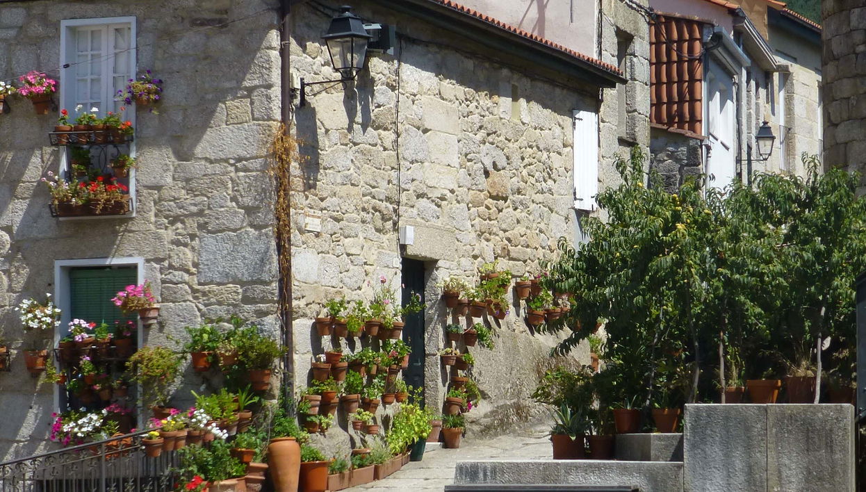 Visita guiada por Ribadavia