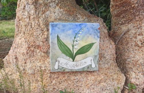 CASA MUGHETTO R5055 WiFi, seafront, private sea access, swimming pool - Foto 20