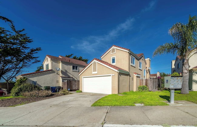 Succulents & Seashells Coastal Paradise by Beach - Foto 29