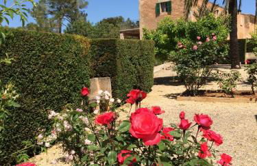 Son Bernadinet - Foto 34