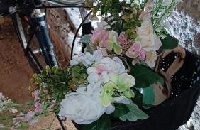 Meublé de tourisme Petit Chail Saint Savinien - Foto 32