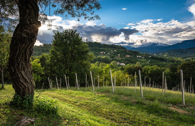 Agriturismo Le Spezie - Foto 41