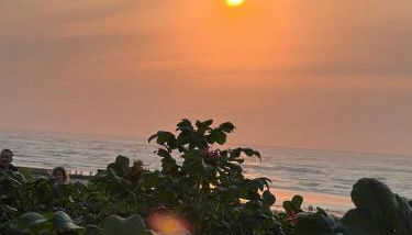 Haus Alexandra - Ferienwohnung Dat Büdche - Foto 3