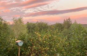 Chalet du Bois Joli - Foto 15