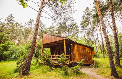 Autumn Nature Cottage Stove Garden by PolandBnB - Foto 26