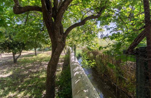 Monte Alecrim - Foto 24