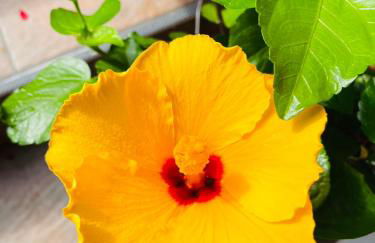 Ferienwohnung Amethyst - Photo 27