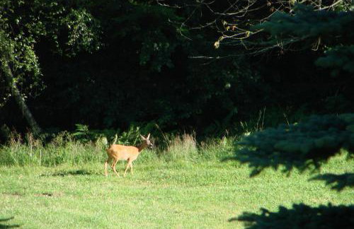 Villa Victoria - Foto 31