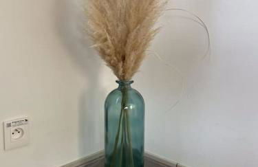 Maison Mitoyenne avec cour + parking - Foto 12