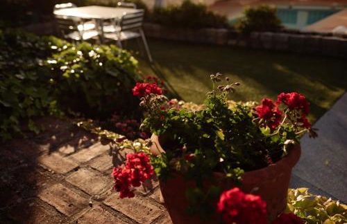 Casa Rural en Cigarral de Villamarta Toledo con piscina y WIFI - Foto 25