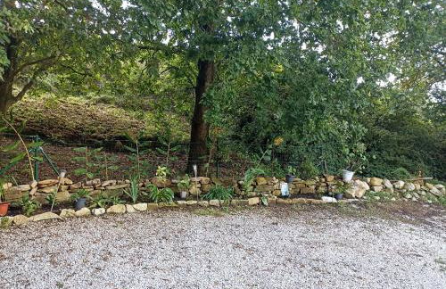 VIVIENDAS RURALES LAS CALDERAS - Foto 31