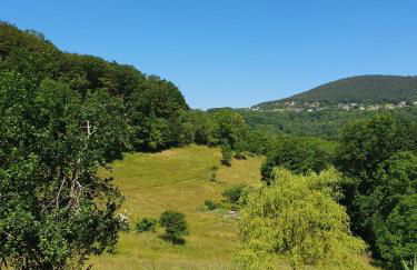 Le Chant du Loriot - Foto 21