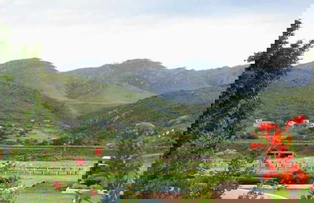 Assegaaibosch Country Lodge - Foto 62