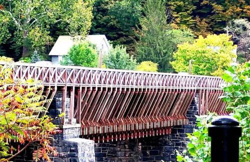 The Lookout Lake Masthope Firepit Arcade - Foto 51