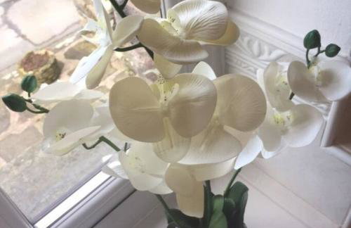 Dalesway cottage - Foto 18