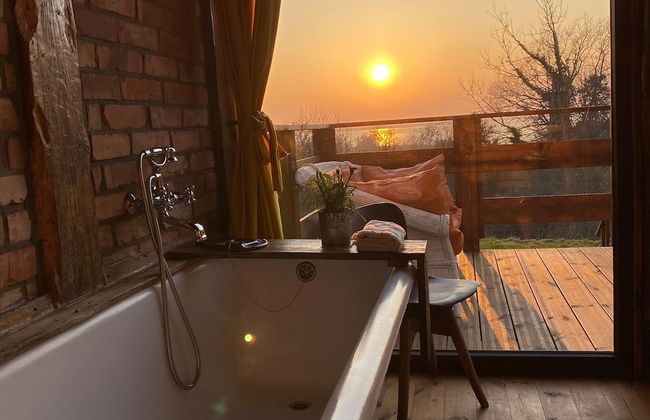 Ptasia Osada - Photo 37