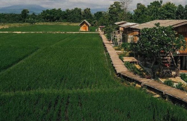 hueankwankhao - Photo 46