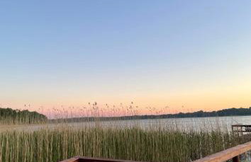 Miętowy Domek Trzebawie - Foto 41