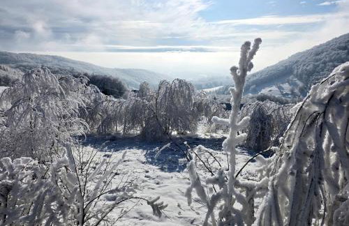 Domek w Chmurach II - Foto 48