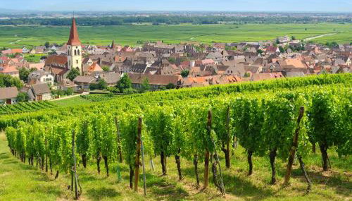 Goélia Le Domaine du Golf - Foto 5