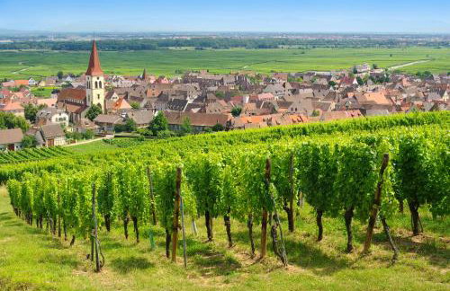 Goélia Le Domaine du Golf - Foto 5