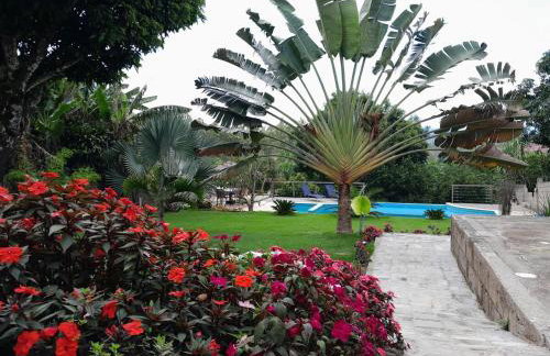 Em Canto de Minas - Foto 20