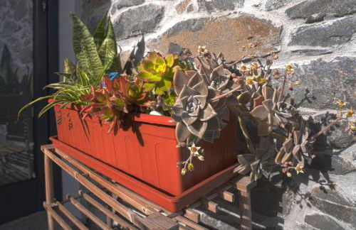 Moonfall House - Foto 20