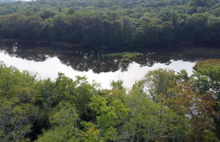 Cozy One-Bedroom Retreat in the Heart of Smithtown - Foto 11