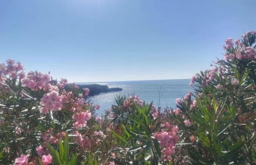 Masseria Berzario - Foto 63