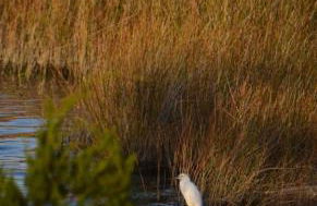 Waterfront Home 3BR King bed Private Dock - Foto 22