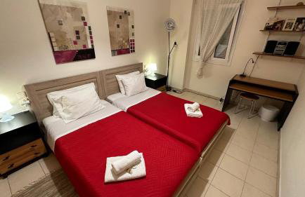 Patras Palm Tree - Foto 59