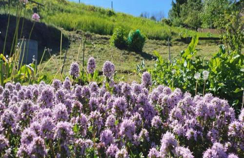 Villa in Borstendorf nahe Erzgebirge - Foto 29