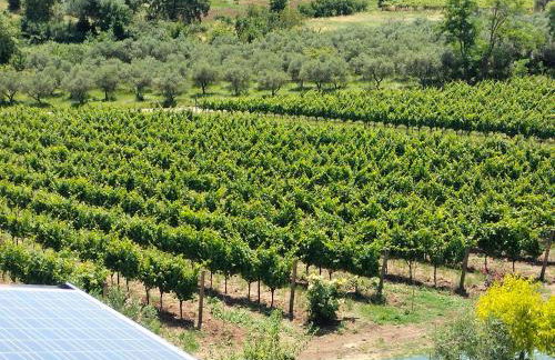 Angelucci Agriturismo con Camere e Agri Camping - Foto 22