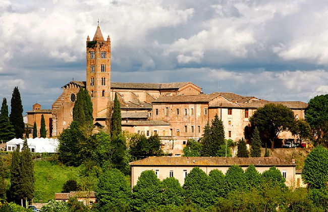Geführter Stadtrundgang Siena mit Dom - Foto 3