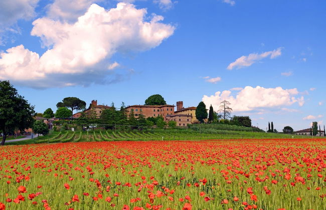 Family Friendly Villa Giulia With Pool - Foto 15