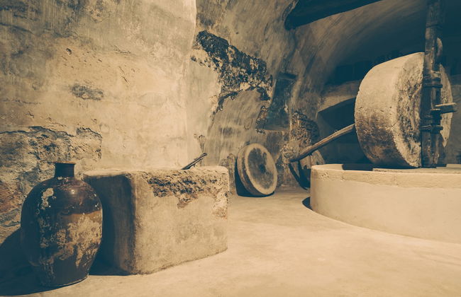 Azienda Agricola Francesca Stajano - Foto 71