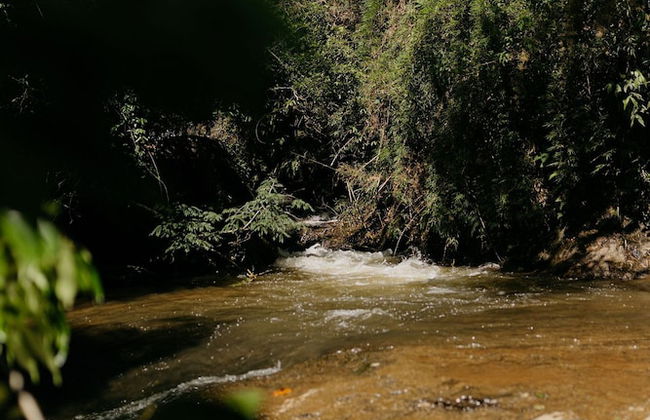 Refugio Marincek - Gonçalves - MG - Foto 10