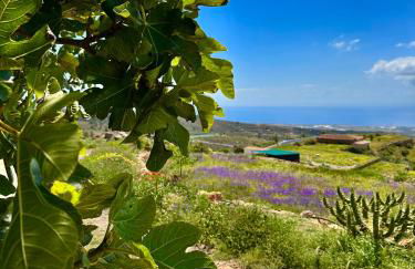 Las Casitas - Casa Higo - Foto 18