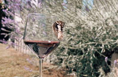 Ca' del Sasso by il Sassoscritto - Foto 27