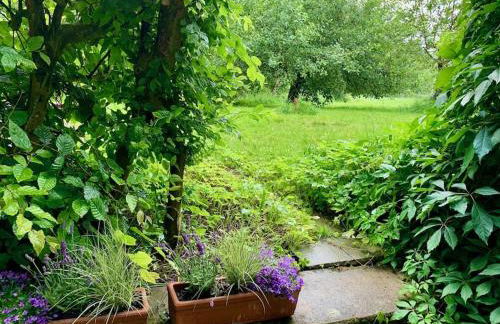 Ferienwohnung in historischer Mühle - Foto 29