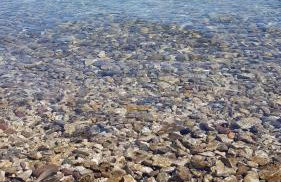 Villa Paradise Garden - Foto 43