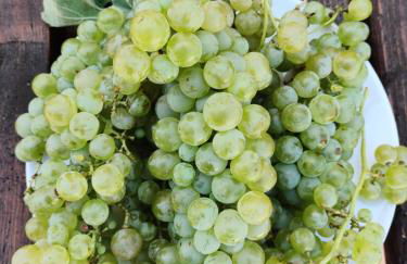 Casa Martin , 4 bedroom villa - Foto 48